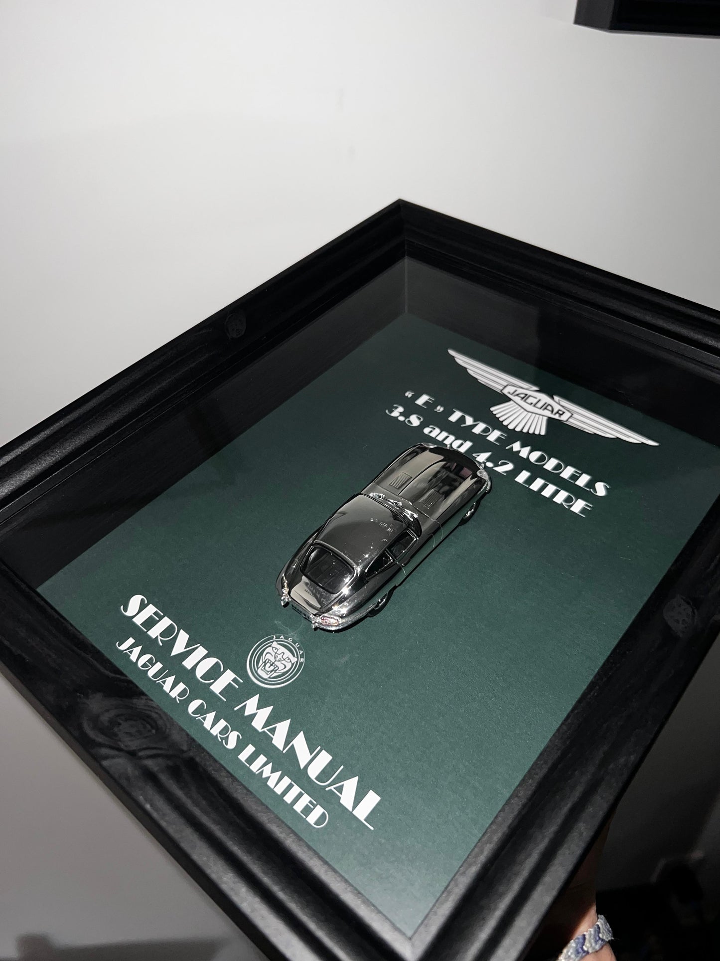 Jaguar E-TYPE Chrome